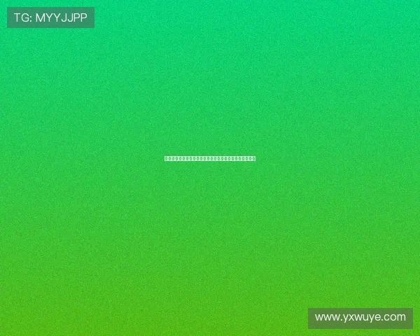 圣诞大战预测：掘金领先森林狼胜率近六成，激战一触即发