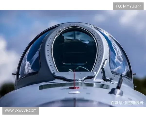 战斗机座舱盖的抗冲击载荷模拟